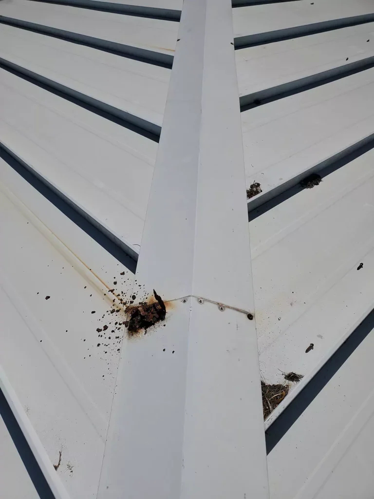 20230221-093808-671cab78b4135